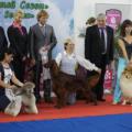 Сочи 2011 Интернациональная выставка собак всех пород CACIB 