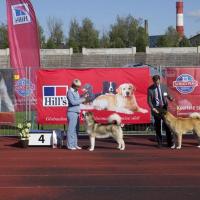 2012 International Dog Show 